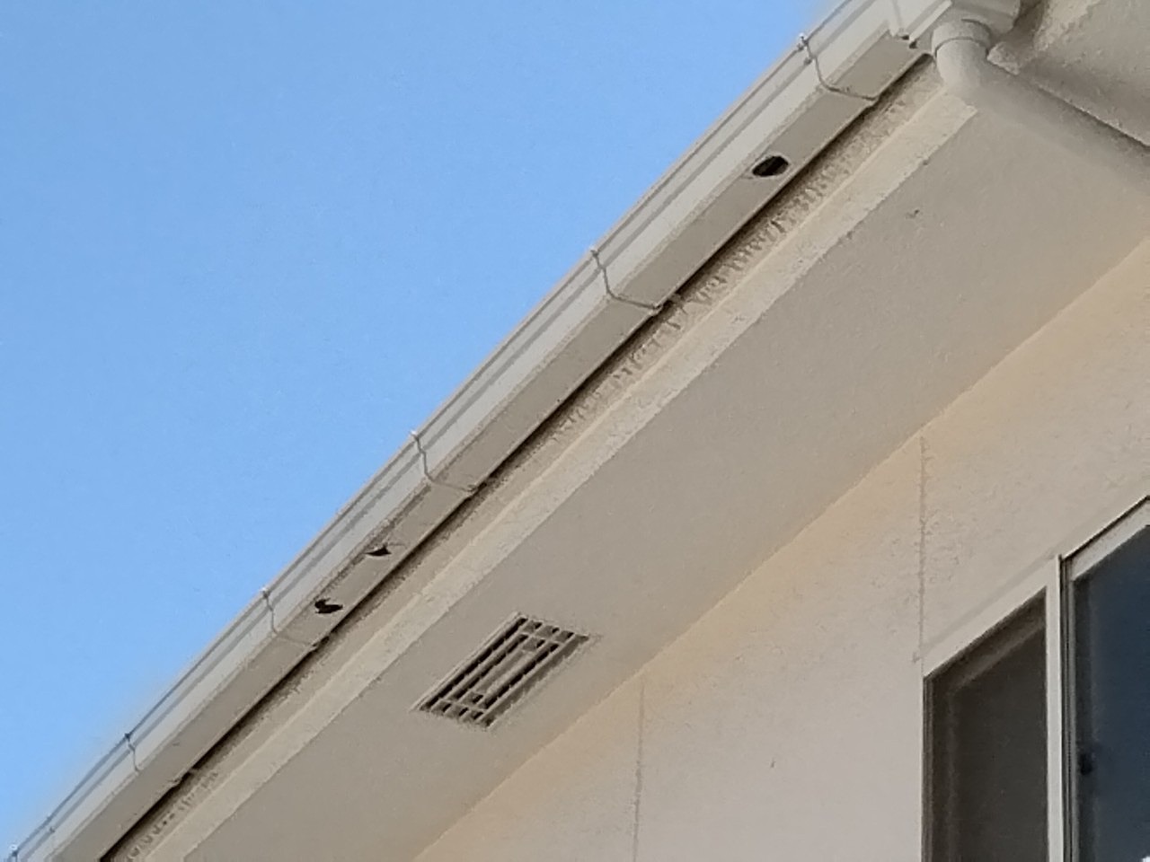 明石市で発生した雹被害を現地調査｜雨樋の穴あき・ひび割れの実例と修繕ポイント